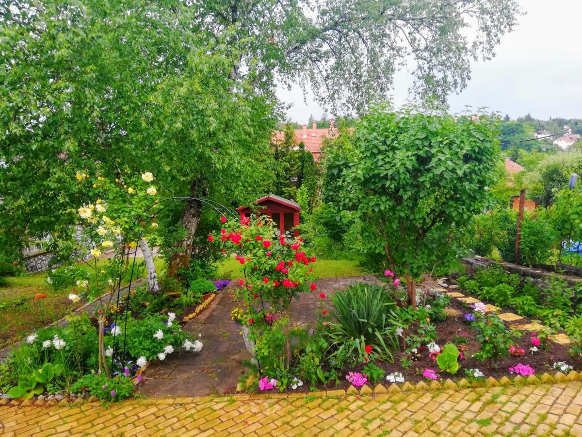 Füge Vendégház Miskolc Exterior foto