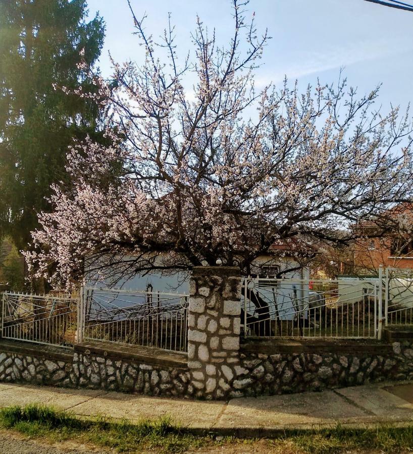 Füge Vendégház Miskolc Exterior foto